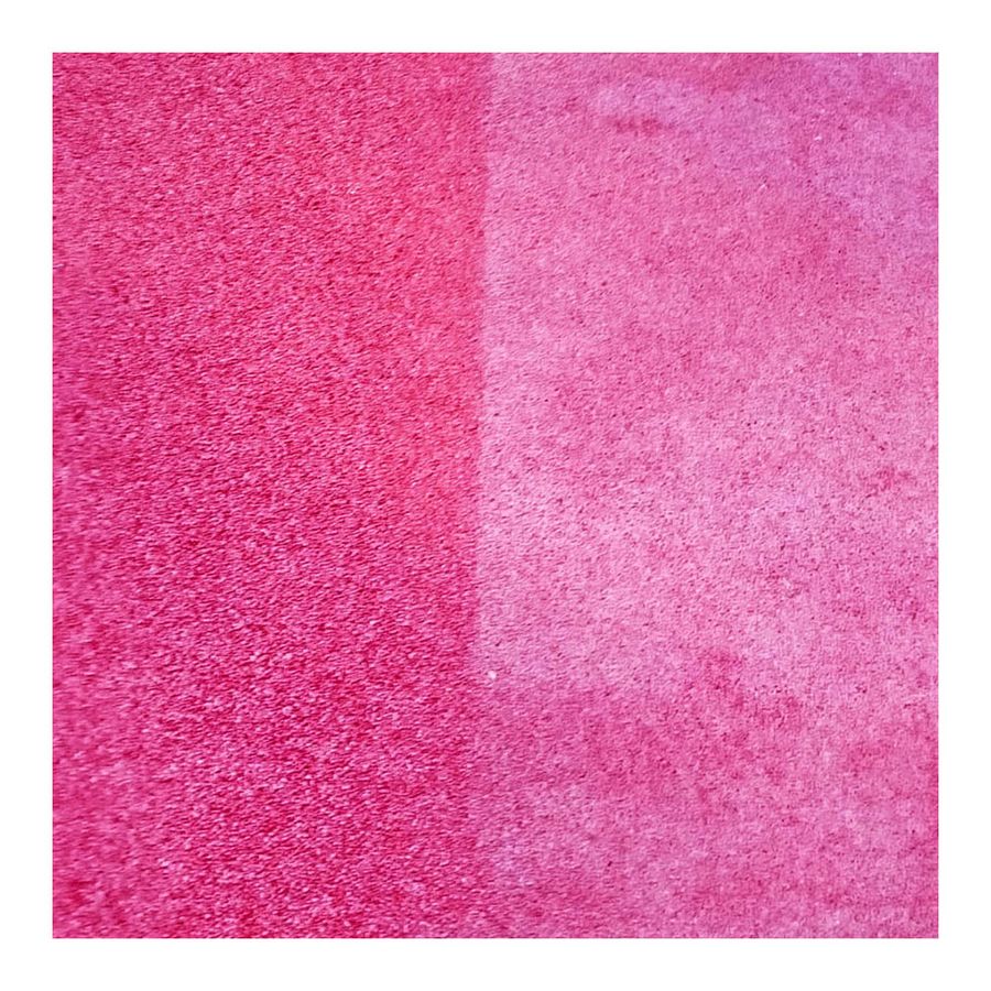 клётци. цвет регенерации. цвет регенерации. Physarum polycephalum. цвет регенерации.